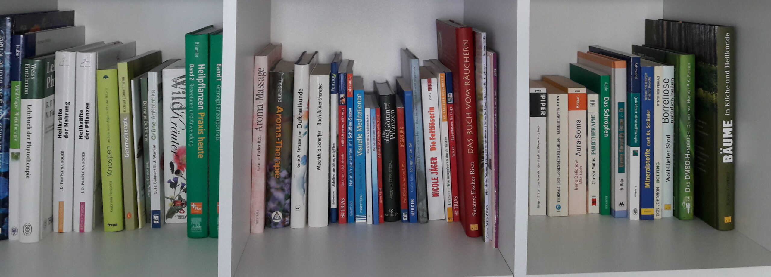 Bücherregal